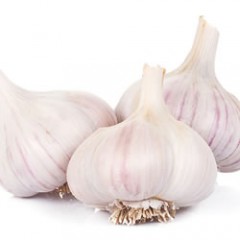 Garlic Sale to benefit Cornell Master Gardener program