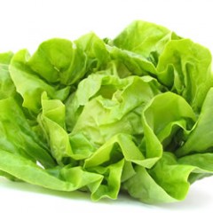 Lettuce / Leafy Greens