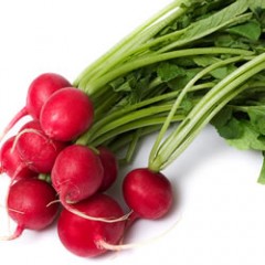 Radishes