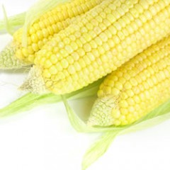 Sweet Corn