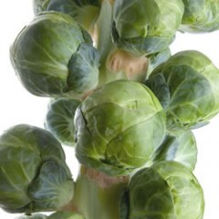 Brussels Sprouts