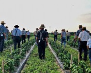 WNY Produce Auction Summer Meeting (Orleans Co.)