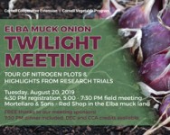 2019 Elba Muck Onion Twilight Meeting