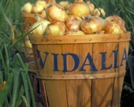 Winter Wednesday Lunch Webinar: Sweet Onions - Cultural Practices and Brand Marketing
