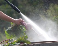 Farm Food Safety Training with GAPs (Steuben County)