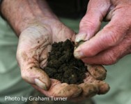 Niagara County Winter Meeting: Increase Productivity Through Soil Environment Management