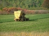 2011 Processing Snap Bean Advisory Meeting