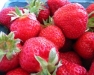 Winter Wednesday Lunch Webinar: Current Issues in Strawberry Pest Management