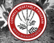 Fresh Market Vegetable Weed Management Field Days: Cultivation Options