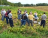 2012 NYS Dry Bean Field Meeting