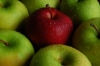 Navigating NEWA for Apple Growers - Champlain Valley- CANCELED