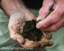 Understanding and Managing Soils for Top Vegetable Production