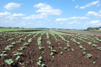 2017 Hudson Valley Commercial Vegetable Growers' School and Mini Trade Show!