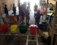 Post-Harvest Wash/Pack Shed Operation Training