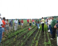 2017 Oswego Muck Onion Twilight Meeting