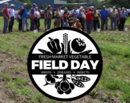 2017 Fresh Market Vegetable Field Day