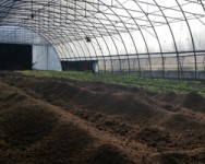 Best Management Practices for High Tunnel Nutrition and Soil Health