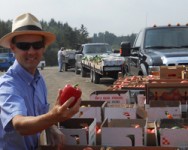 2017 Vegetable Pest and Cultural Management Field Meeting - Yates County