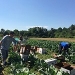 Are you managing your risks as a farm employer? The compliance and safety workshop