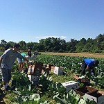 Are you managing your risks as a farm employer? The compliance and safety workshop