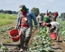 2018 Becker Forum: Farm Employment Practices - Planning for the Future