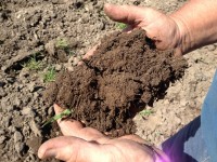 Soil Health Listening Session