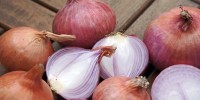 Growing Alliums  for Storage & Long Term Sales
