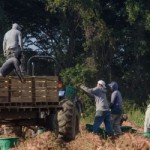 Are you managing your risks as a farm employer? The compliance and safety workshop