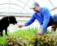 Mechanical Weed Management - Rolling Hills Discussion Group