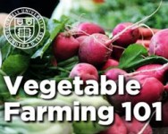 Erie County Beginning Farmer Discussion Group: Vegetable Farming 101