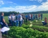 2025 Muck Onion Growers Twilight Meeting in Oswego
