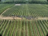 Cornell Fruit Field Day