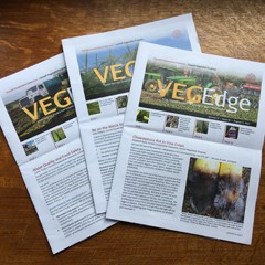 Three issues of VegEdge newsletter