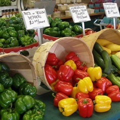 Cold Storage Chart and Reference Guide to Commercial Vegetable Storage -  Cornell Vegetable Program - Cornell University - Cornell Cooperative  Extension