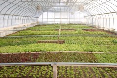 Eastern new york commercial horticulture program