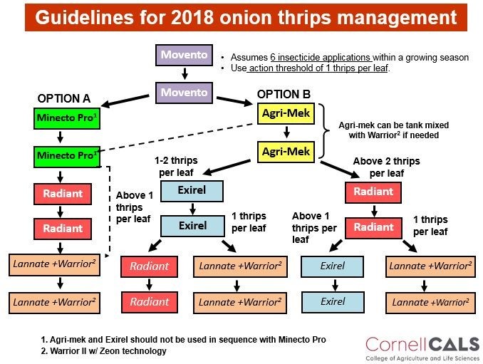 Thrips Management