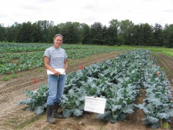 2010 Broccoli Variety Evaluation