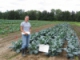 2010 Broccoli Variety Evaluation