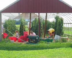 Zero Disease Tolerance in High Tunnels