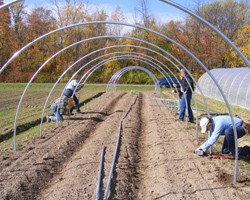 Home High Tunnel Construction