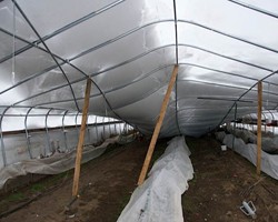 Salvaging Your Greenhouse After a Heavy Snow Storm