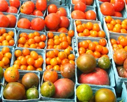 Tomatoes for the High Tunnel: Determinate versus Indeterminate