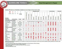 Guideline Tools: Weed Management in Peppers, 2015