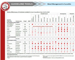 Guideline Tools: Weed Management in Cucurbits, 2015