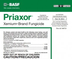 Priaxor: New Fungicide for Upstate NY Growers