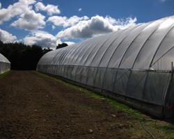Site Selection for High Tunnels