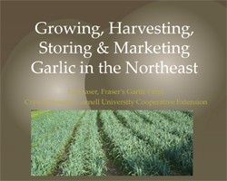 Garlic Production in the Northeast (from NOFA NY's Winter Conference, 2015)