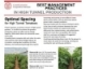 Best Management Practices in High Tunnel Production: Optimal Tomato Spacing