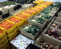 Cold Storage Chart and Reference Guide to Commercial Vegetable Storage