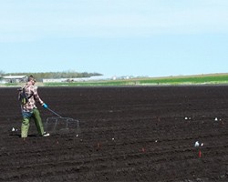 2016 Weed Research in Vegetable Crops, Cornell University